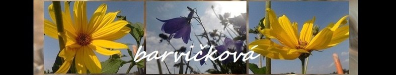 Banner profilu
