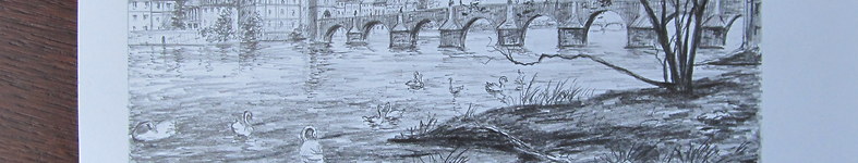 Banner profilu