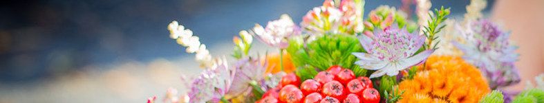 Banner profilu