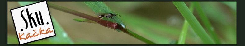 Banner profilu