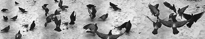 Banner profilu