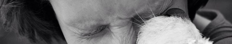 Banner profilu