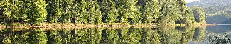 Banner profilu