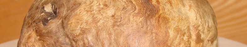 Banner profilu