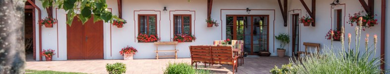 Banner profilu