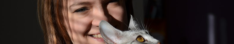 Banner profilu