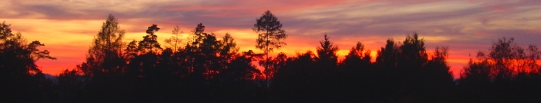 Banner profilu