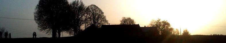 Banner profilu