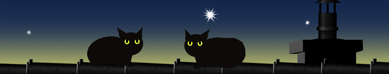 Banner profilu