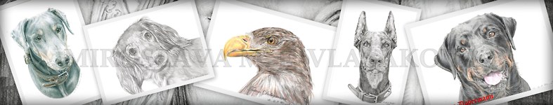 Banner profilu