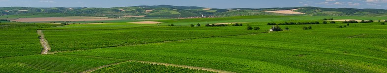 Banner profilu