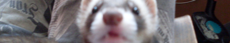 Banner profilu