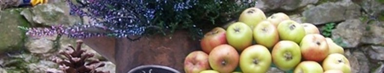 Banner profilu