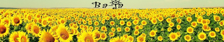 Banner profilu