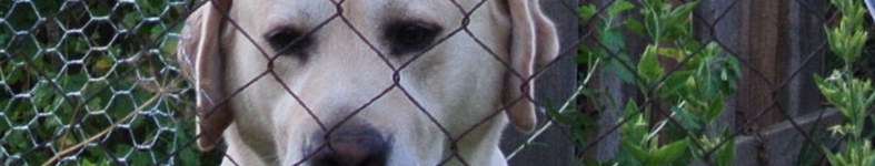 Banner profilu