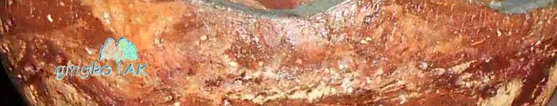 Banner profilu