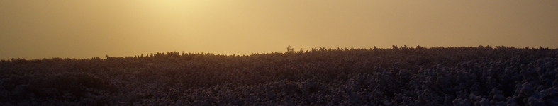 Banner profilu