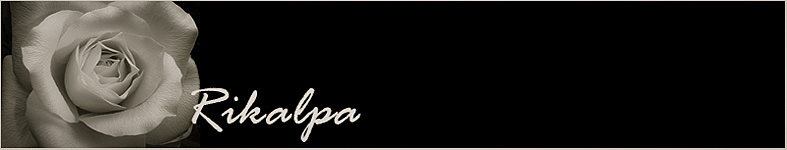 Banner profilu
