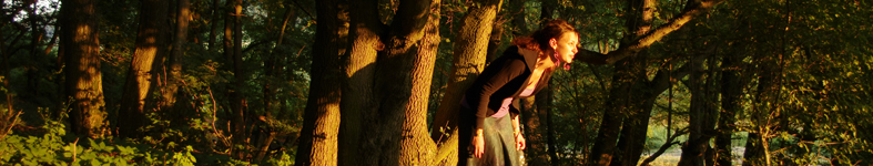 Banner profilu