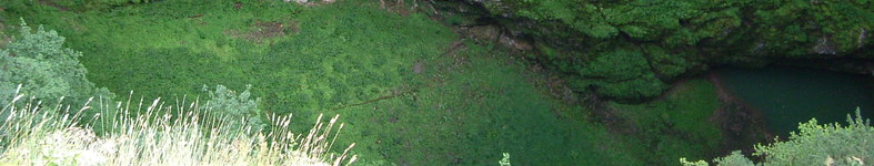 Banner profilu