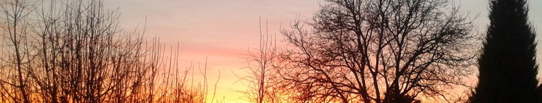 Banner profilu