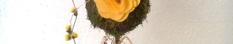 Banner profilu