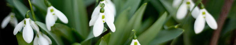 Banner profilu