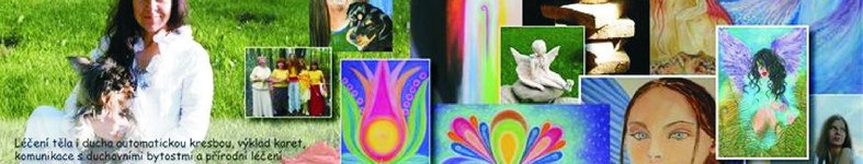 Banner profilu