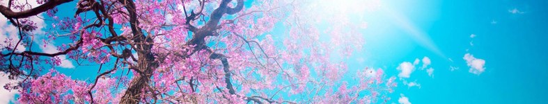 Banner profilu
