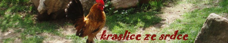 Banner profilu
