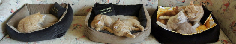 Banner profilu