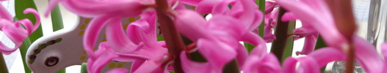 Banner profilu
