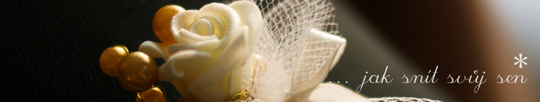 Banner profilu