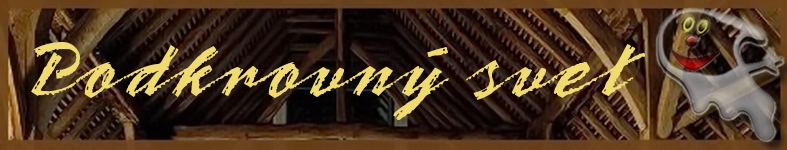 Banner profilu