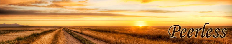 Banner profilu