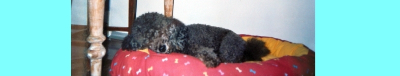 Banner profilu