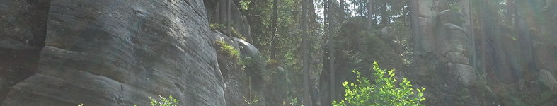Banner profilu