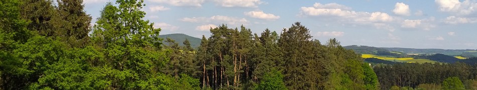 Banner profilu