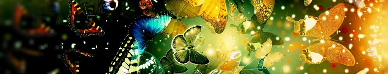 Banner profilu