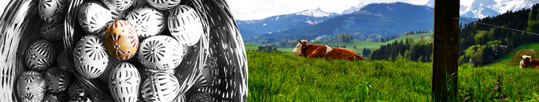 Banner profilu