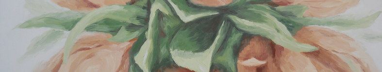 Banner profilu