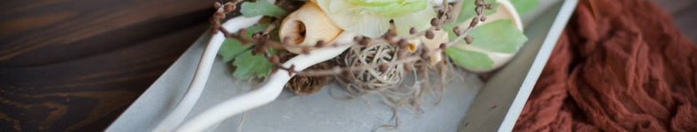 Banner profilu