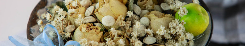 Banner profilu