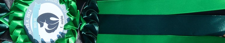 Banner profilu
