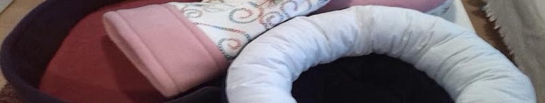 Banner profilu