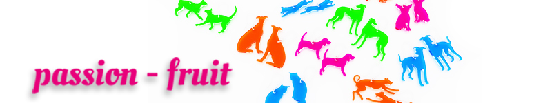 Banner profilu