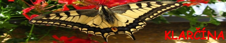 Banner profilu