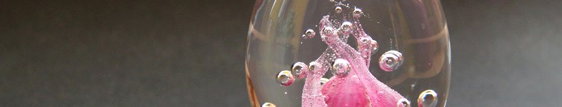 Banner profilu