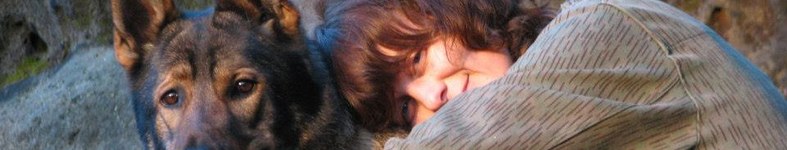 Banner profilu