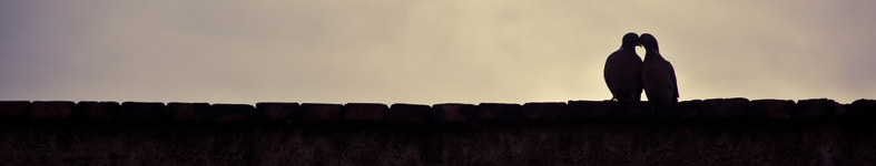 Banner profilu